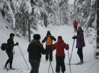 Disfruta de este deporte invernal
